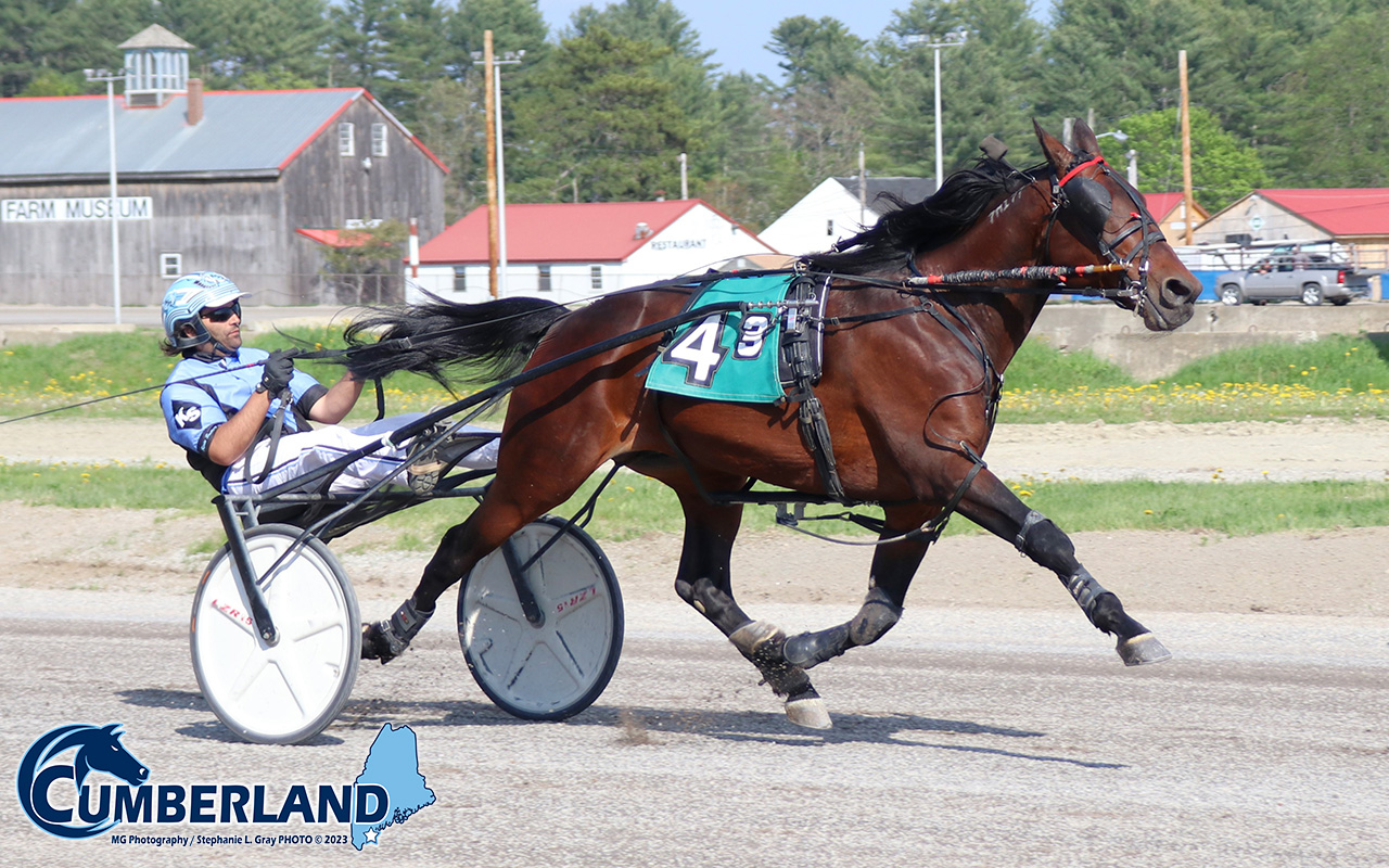 Switzer Jr. hit grand slam, equals trotting track record at Cumberland