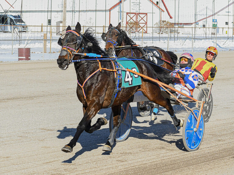 First Tracks Cumberland – Maine Harness Racing