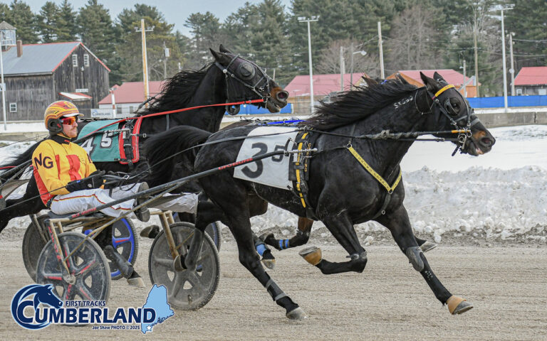 First Tracks Cumberland – Maine Harness Racing